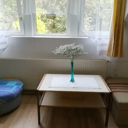 Apartamento In Siofok/balaton 34932 *